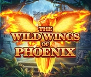 The Wild Wings Of Phoenix