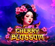 Cherry Blossom