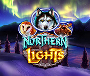 Northern Lights