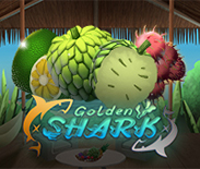 Golden Shark