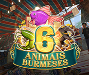 Burmese 6 Animals