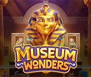 Museum Wonders