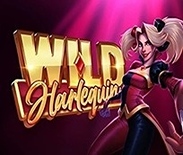 Wild Harlequin