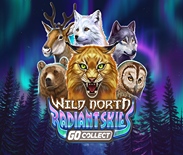 Wild North Radiant Skies GO Collect