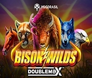 Bison Wilds