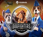 Dog Fighters - Their Finest Hour
