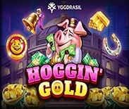 Hoggin` Gold