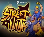 Street Ninja