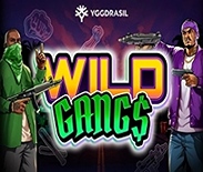 Wild Gangs